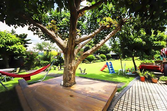 Taichung Xinshe Garden Life Homestay B&B Exterior photo